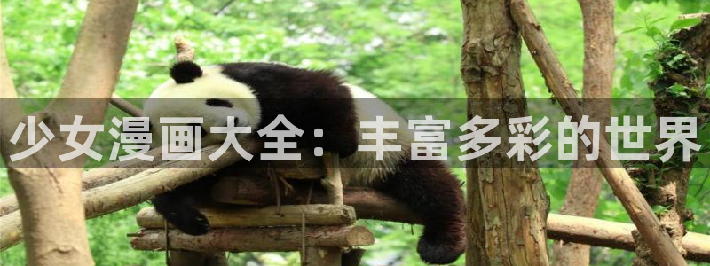 免费看韩漫网
