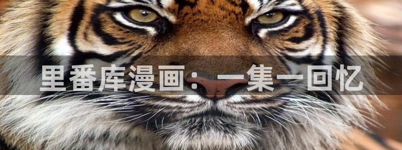 韩漫画免费网站免费观看
