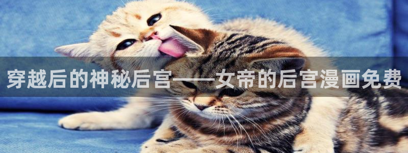 韩漫大全免费