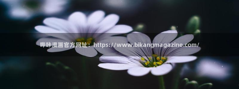 韩漫免费在线观看.