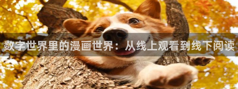 韩漫歪歪漫画免费网站